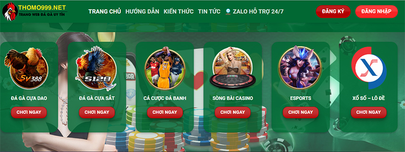 Tham gia vào nhà cái Thomo999 với nhiều trải nghiệm lớn